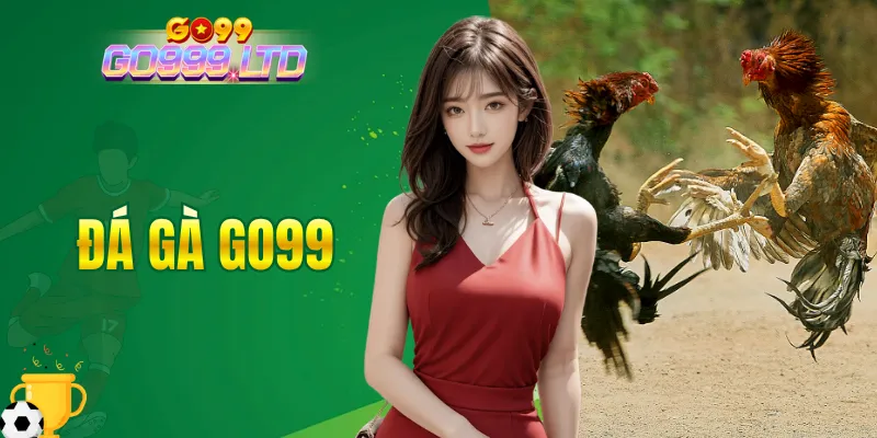 đá gà GO99