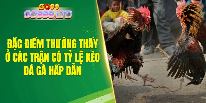 Đặc điểm thường thấy ở các trận có tỷ lệ kèo đá gà hấp dẫn