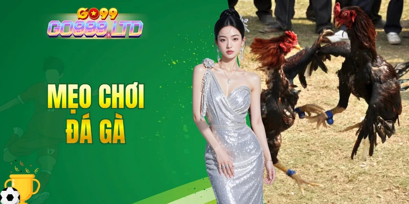 Mẹo chơi đá gà