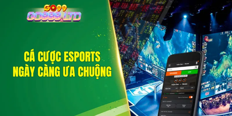 Ngày càng có nhiều hội viên tham gia cá cược esports tại nền tảng